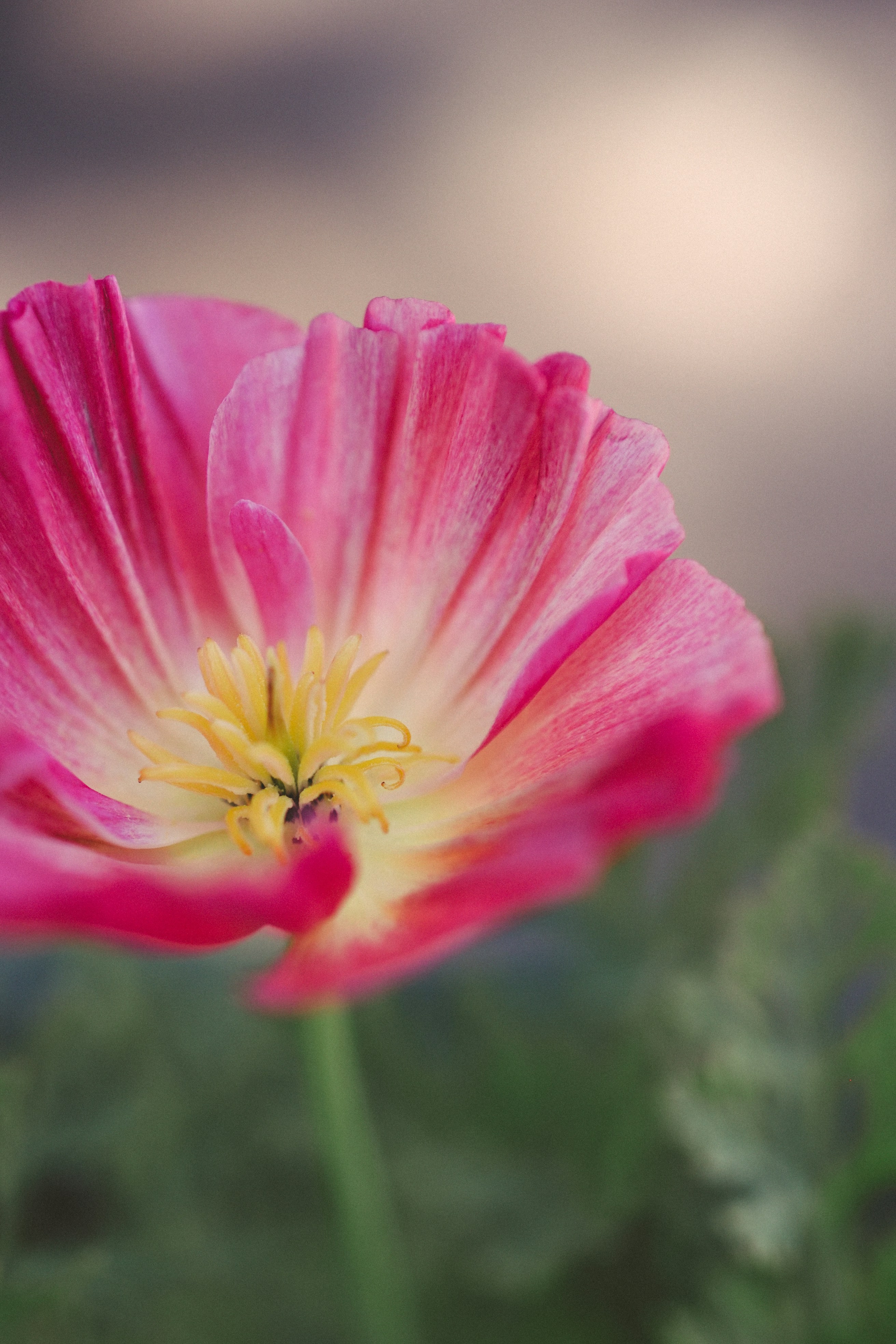 Photo by haleyparson