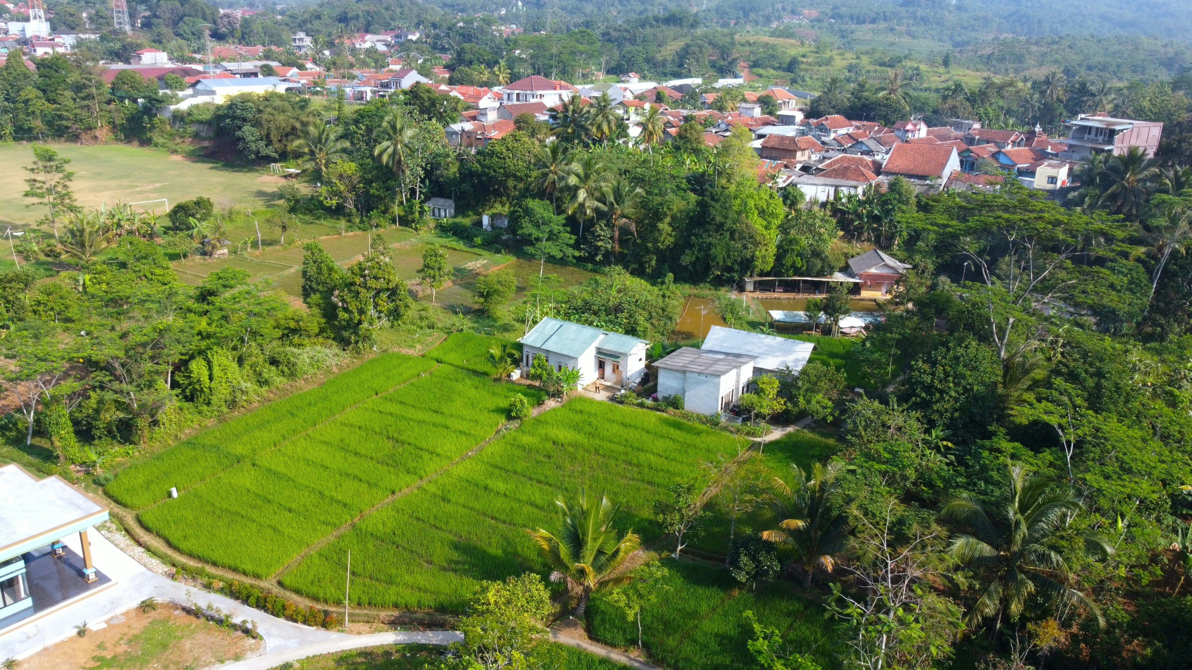 Una vista aérea de un exuberante campo verde
