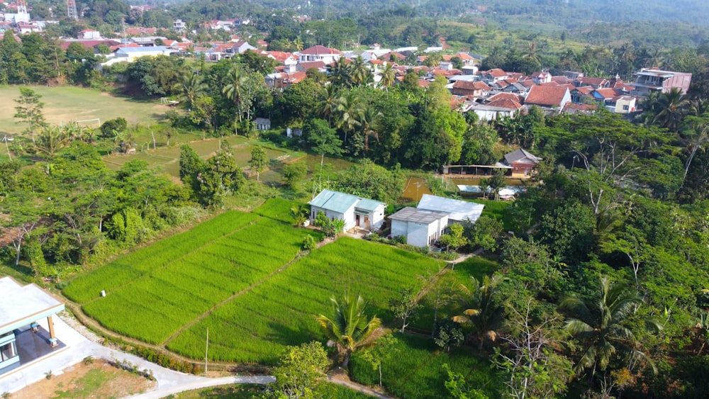 an aerial view of a lush green field