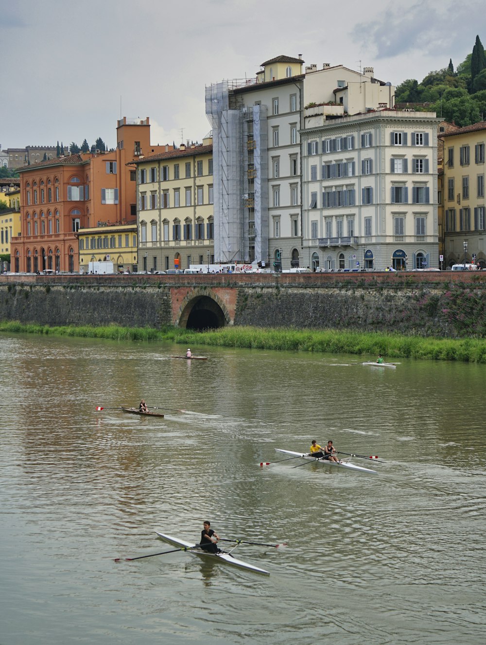 a group of people rowing on a body of water