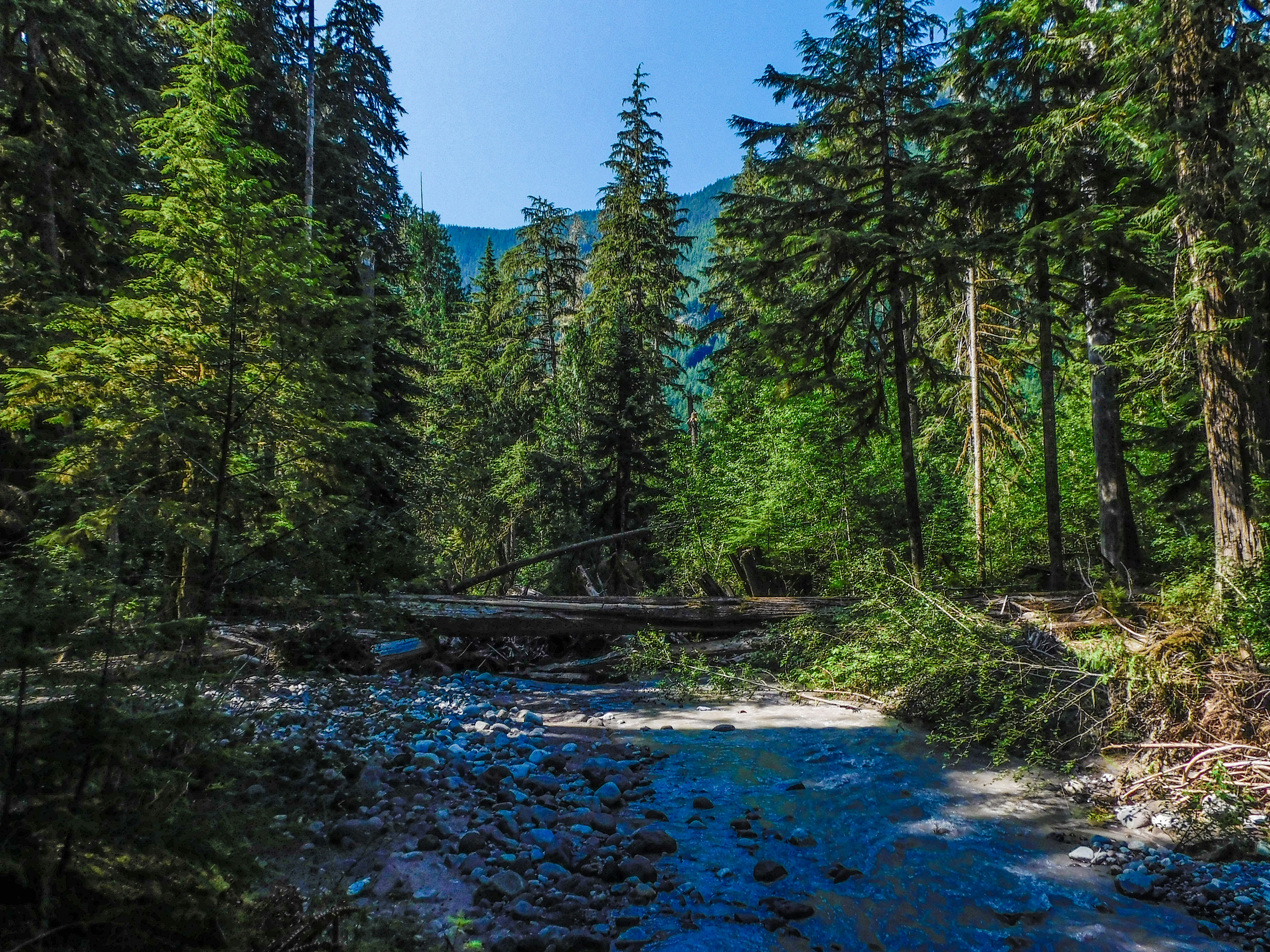 Photo by prphotography262