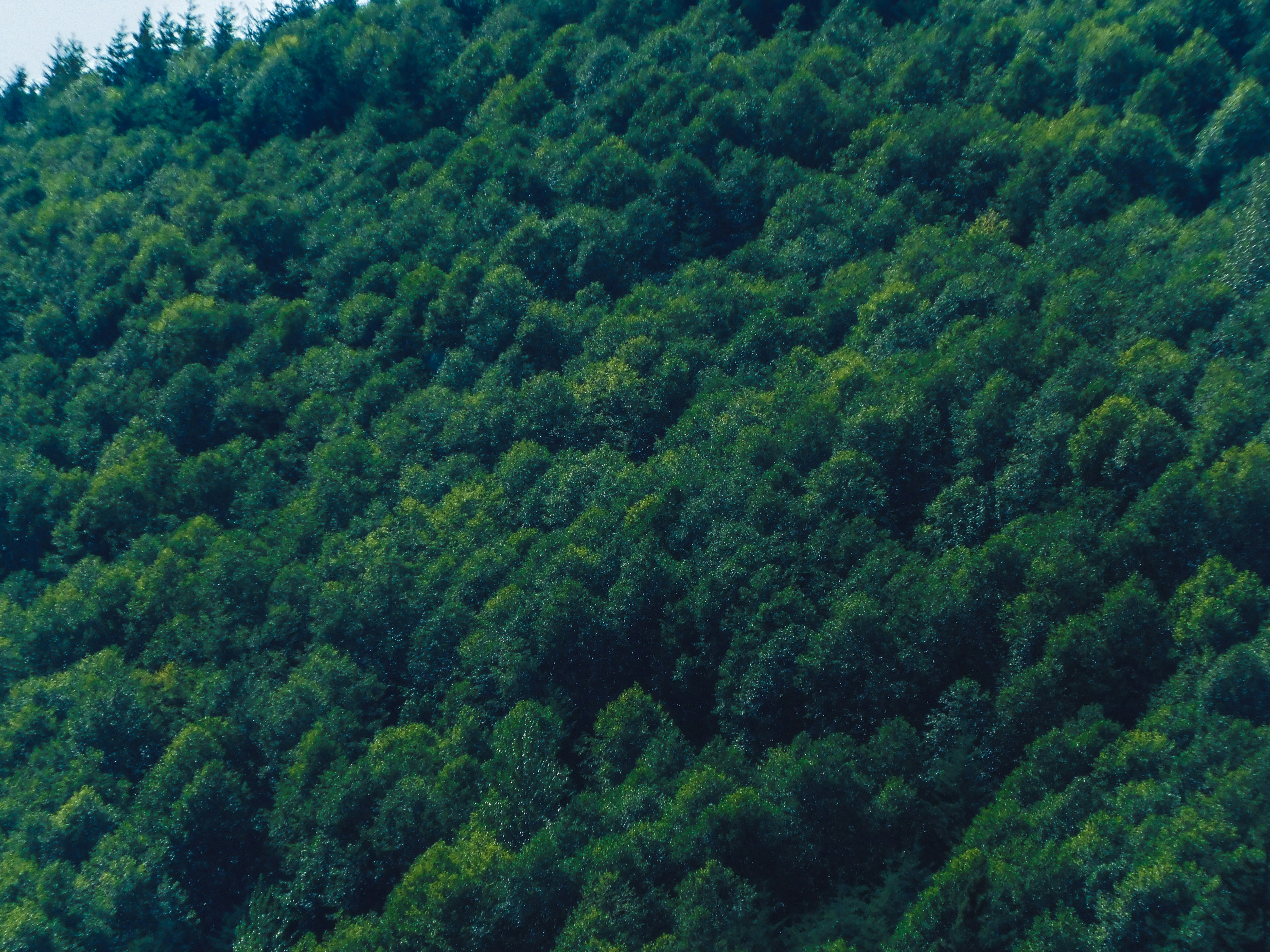 Photo by prphotography262