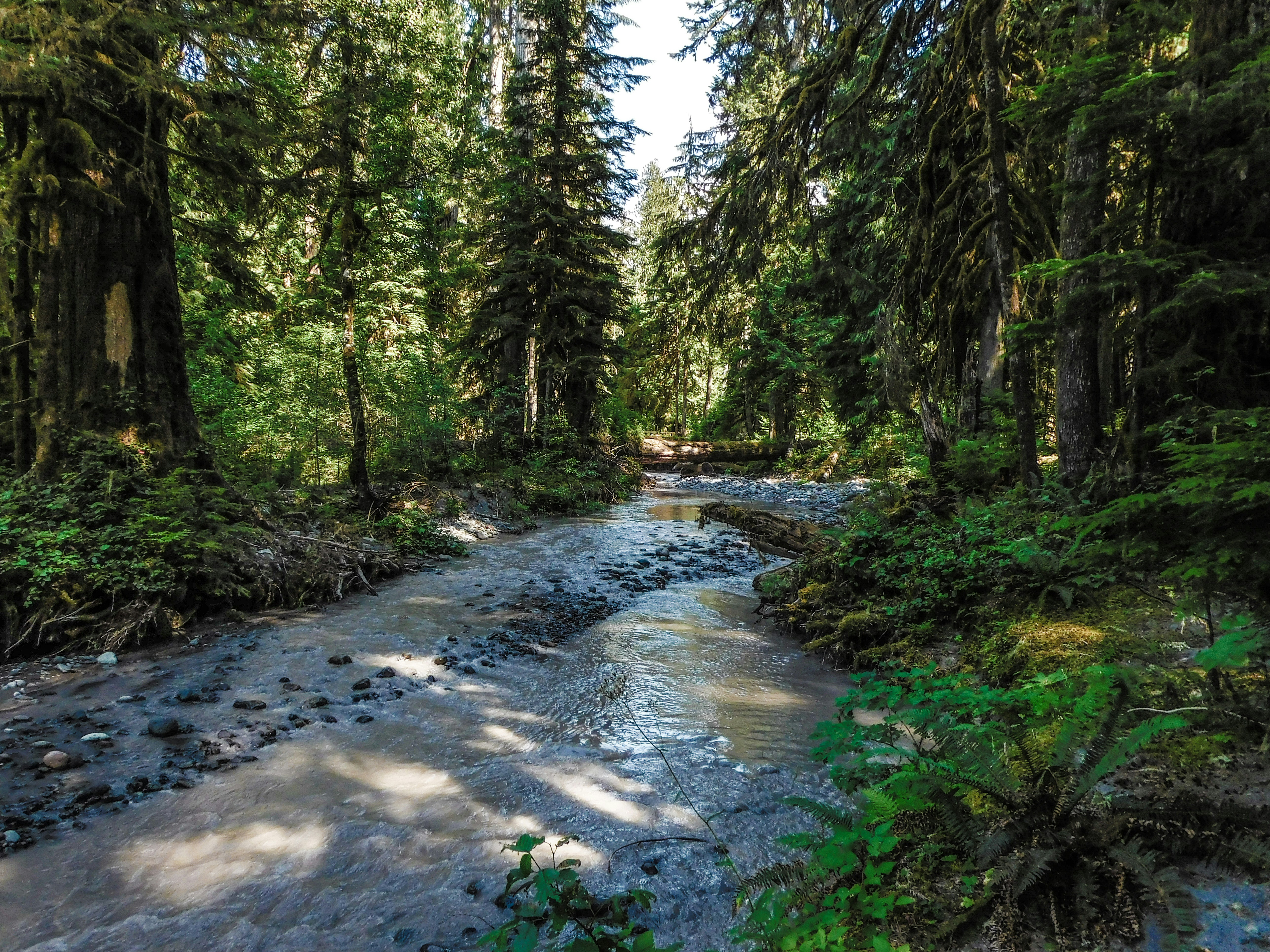 Photo by prphotography262