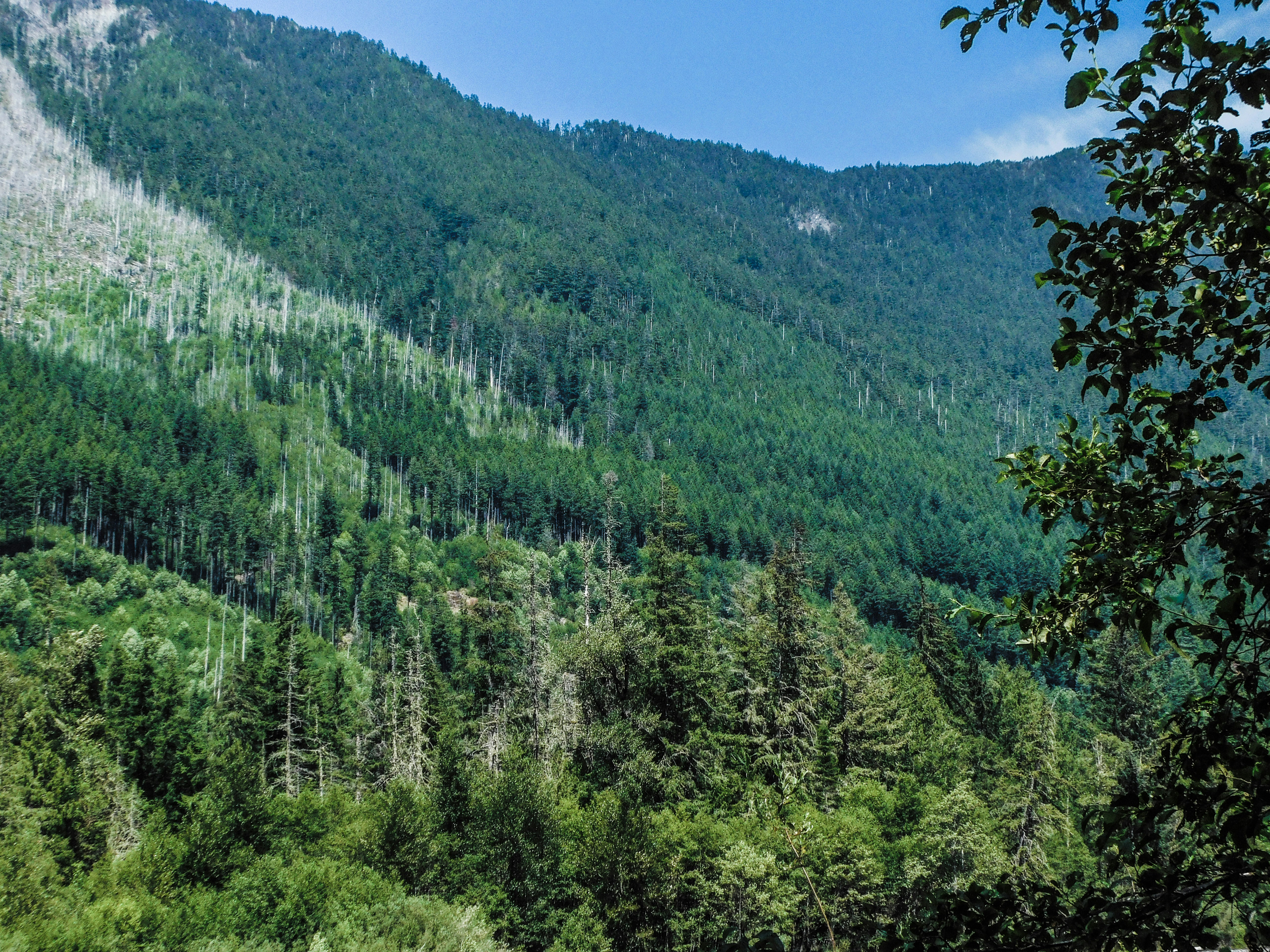 Photo by prphotography262