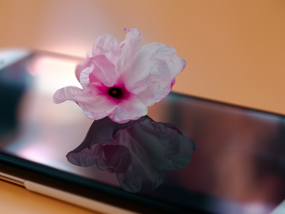 a pink flower sitting on top of a cell phone
