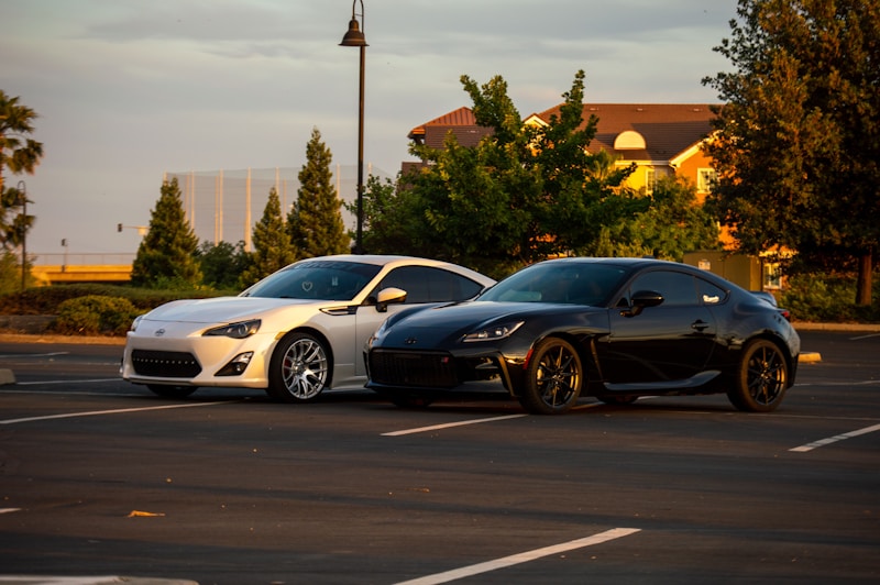 Luxury cars in Dubai elite event