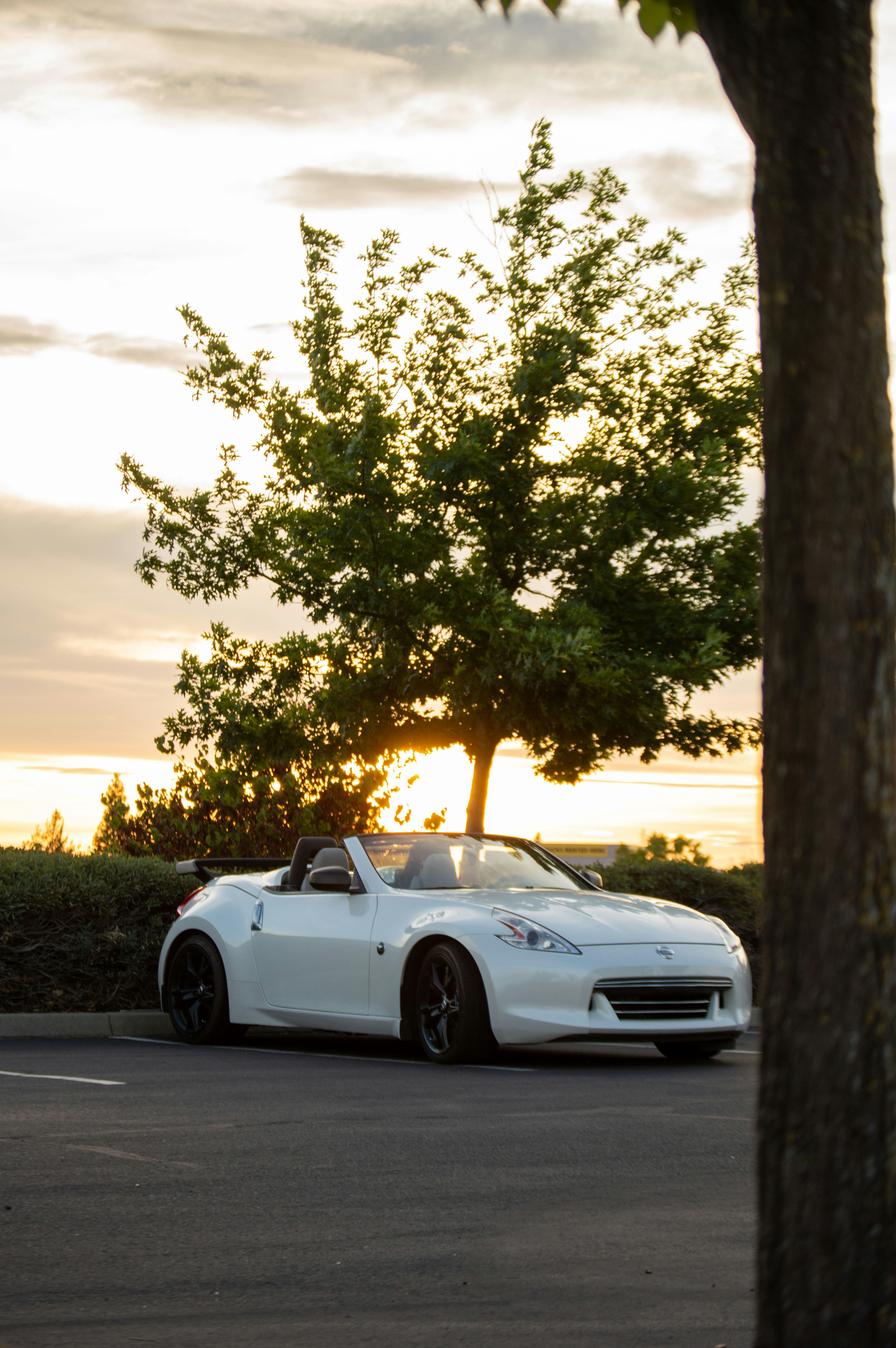 Photo by nathanmsdesigns