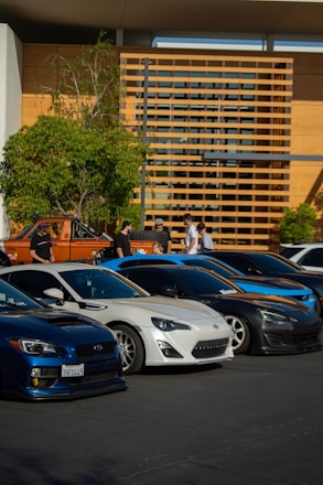 A group of diverse car enthusiasts chatting beside a lineup of classic and modern cars.