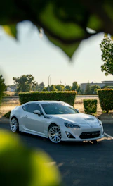 Close-up of a shiny, freshly washed car reflecting sunlight on a quiet suburban driveway.