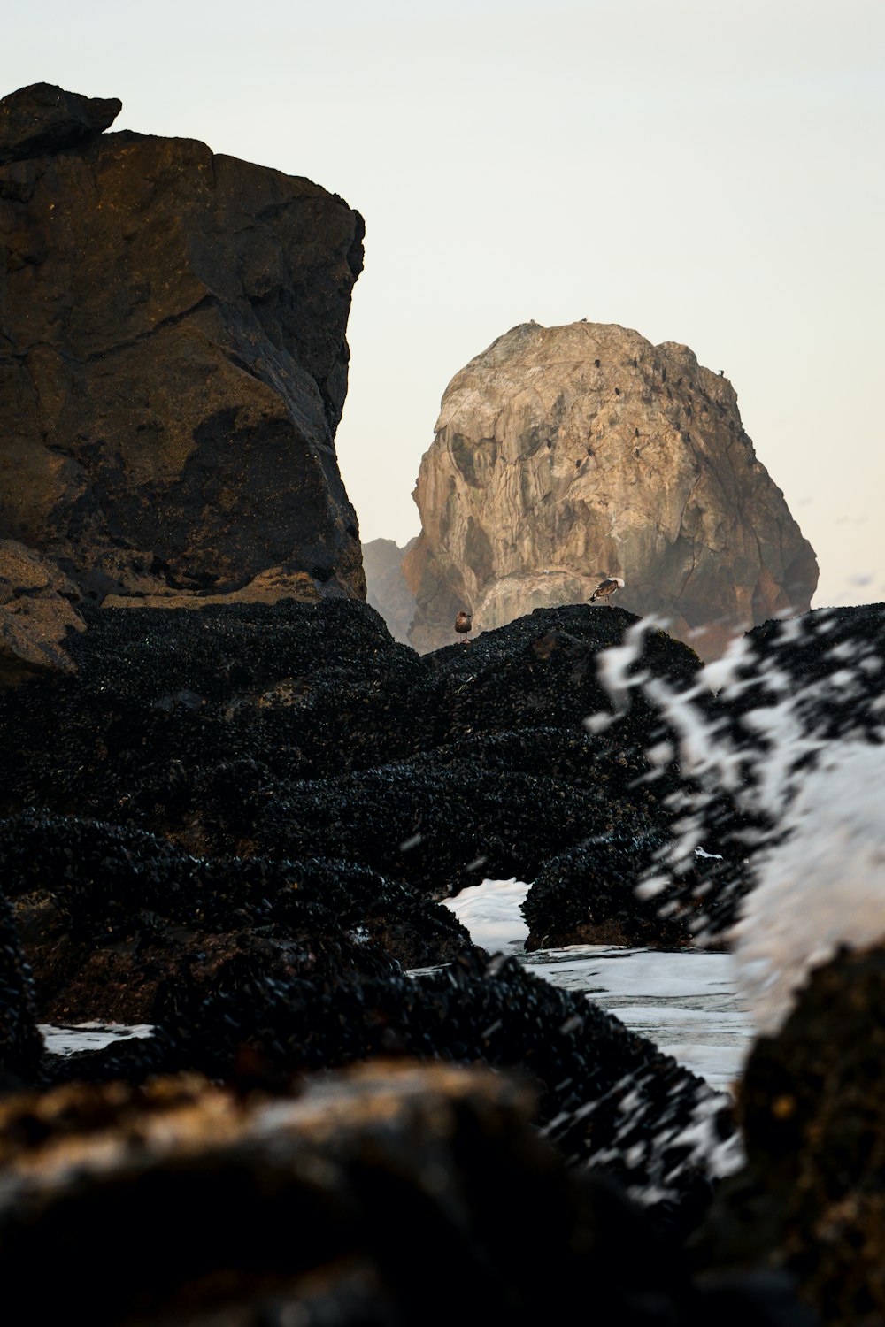 바다 옆 해변 꼭대기에 앉아 있는 큰 바위