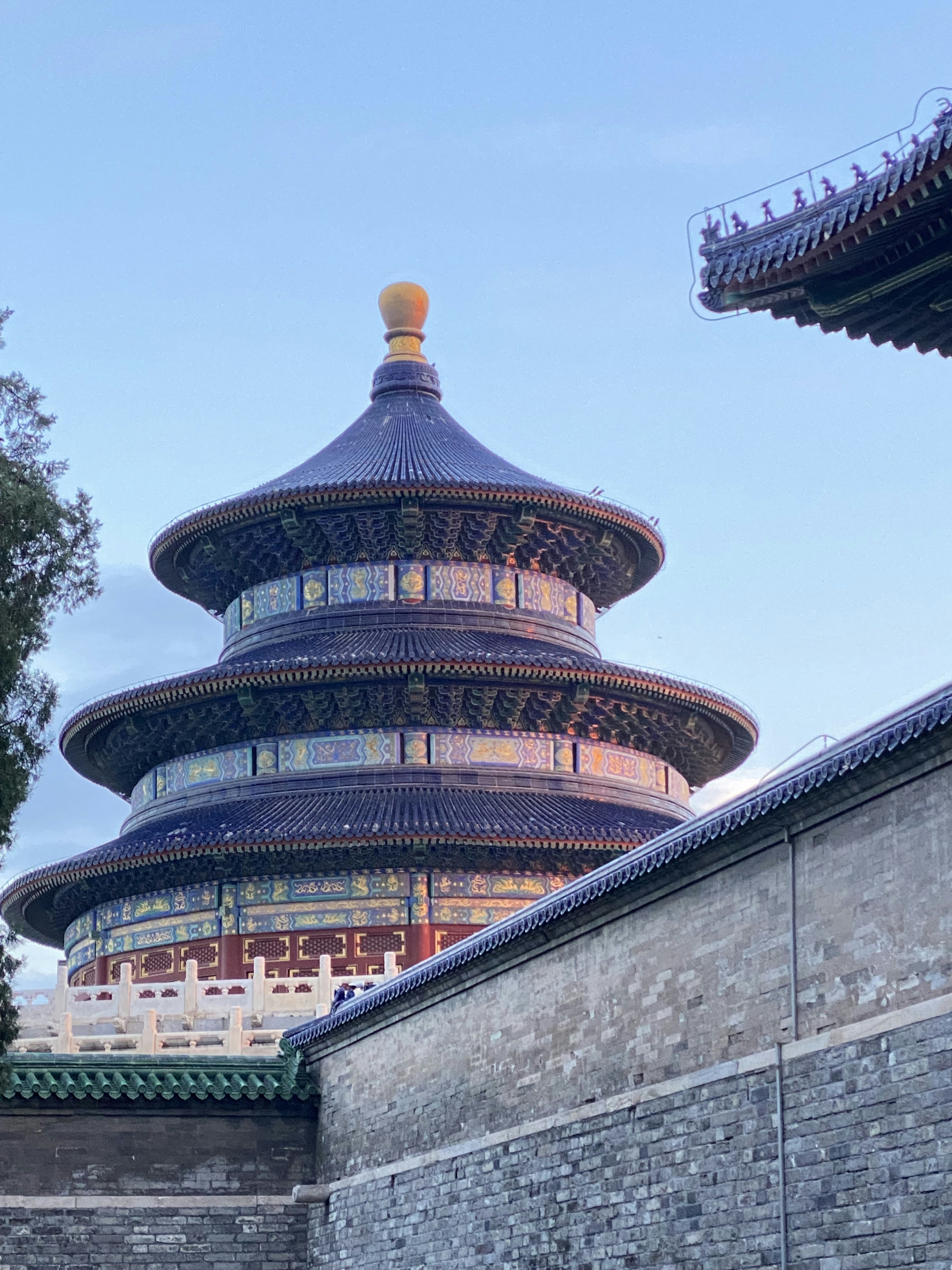 Photo by gingeralecc