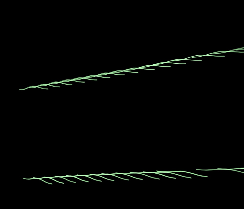 a black background with green lines on it