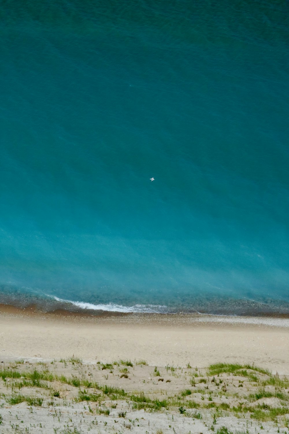 a person riding a horse on a beach near the ocean