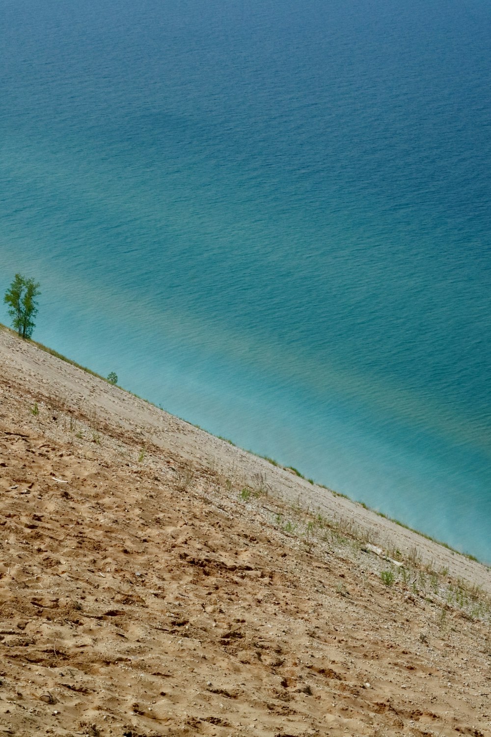 a man riding a horse on top of a sandy beach