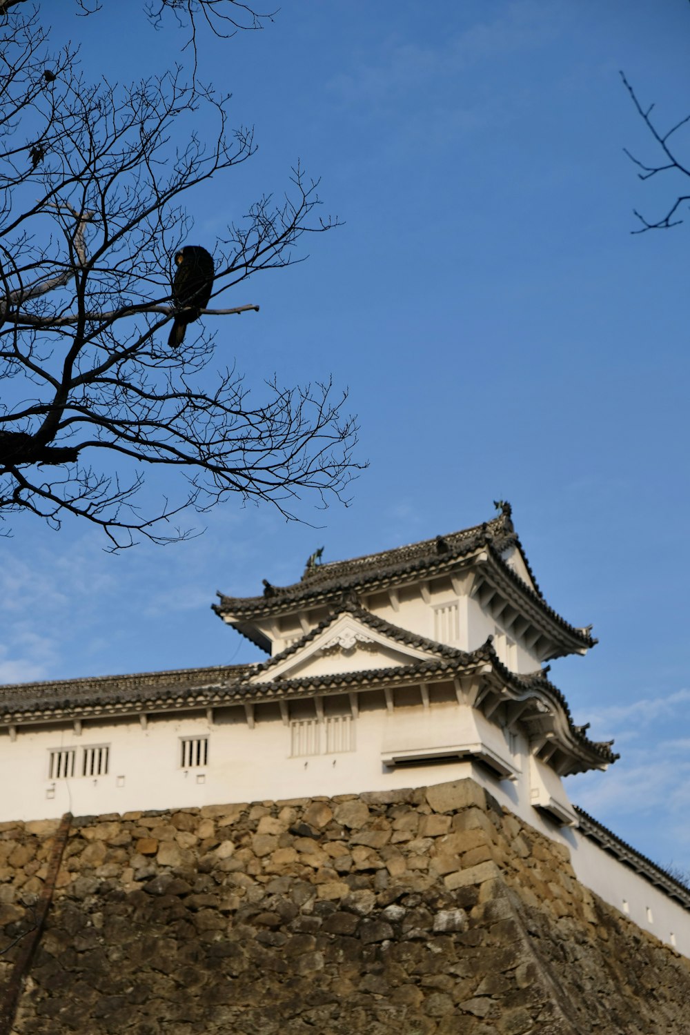 a bird sitting on top of a building next to a tree