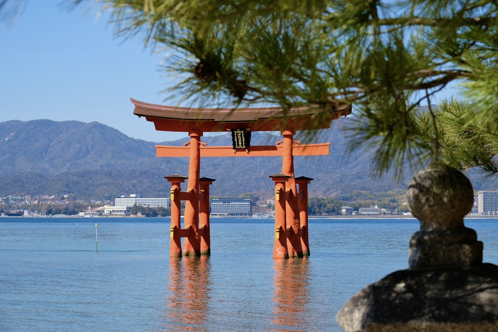 A tori tori che galleggia sulla cima di uno specchio d'acqua