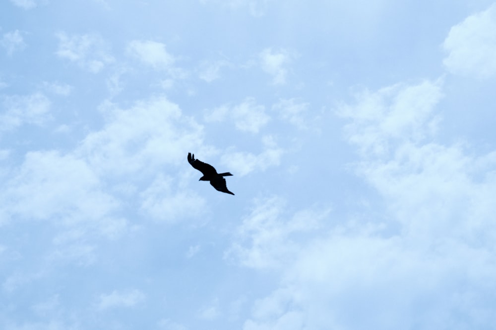 Un pájaro volando a través de un cielo azul nublado
