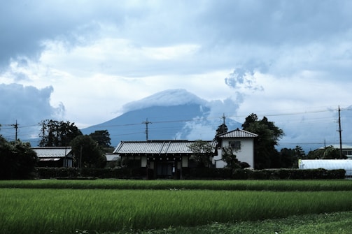 A scenic view of rural Japan.