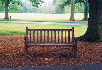 a wooden bench sitting in the middle of a park