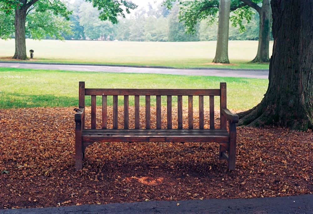 a wooden bench sitting in the middle of a park