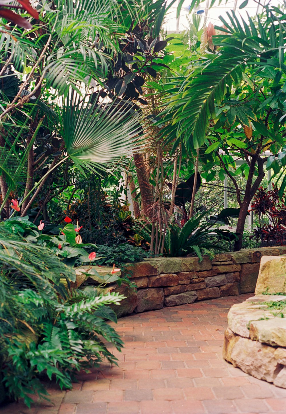 a bench sitting in the middle of a garden