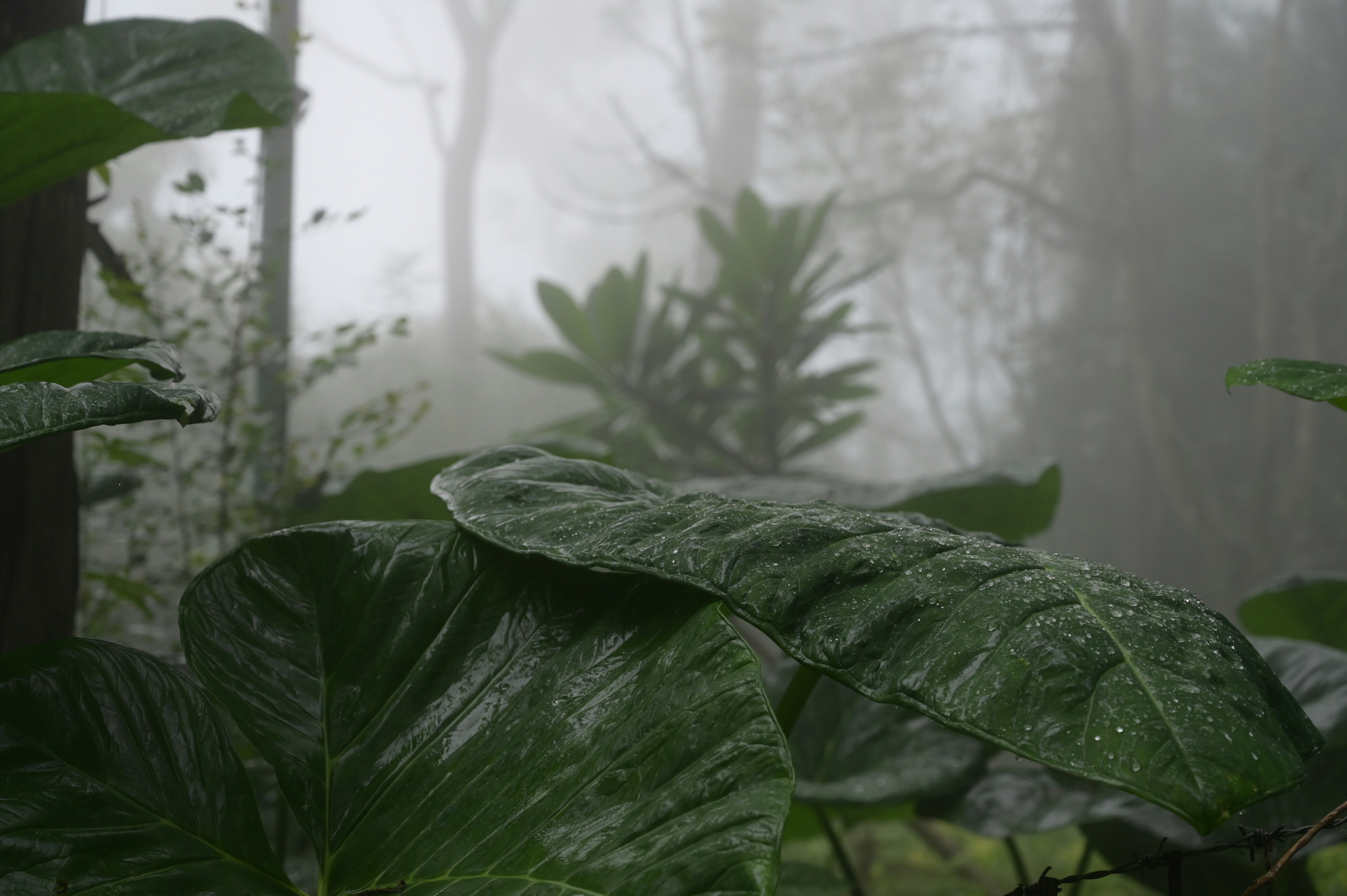 Photo by sanukumar1138