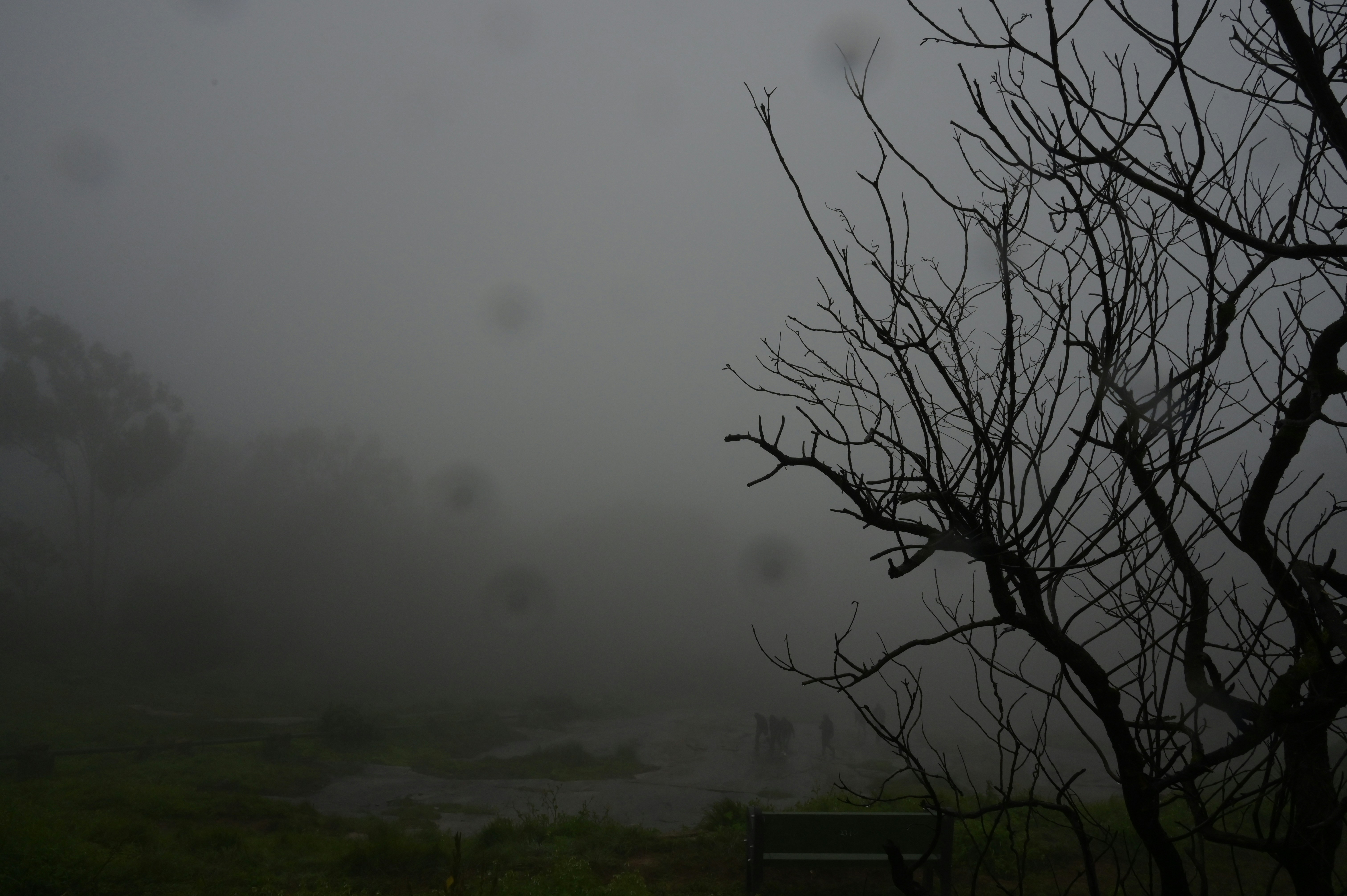 Photo by sanukumar1138