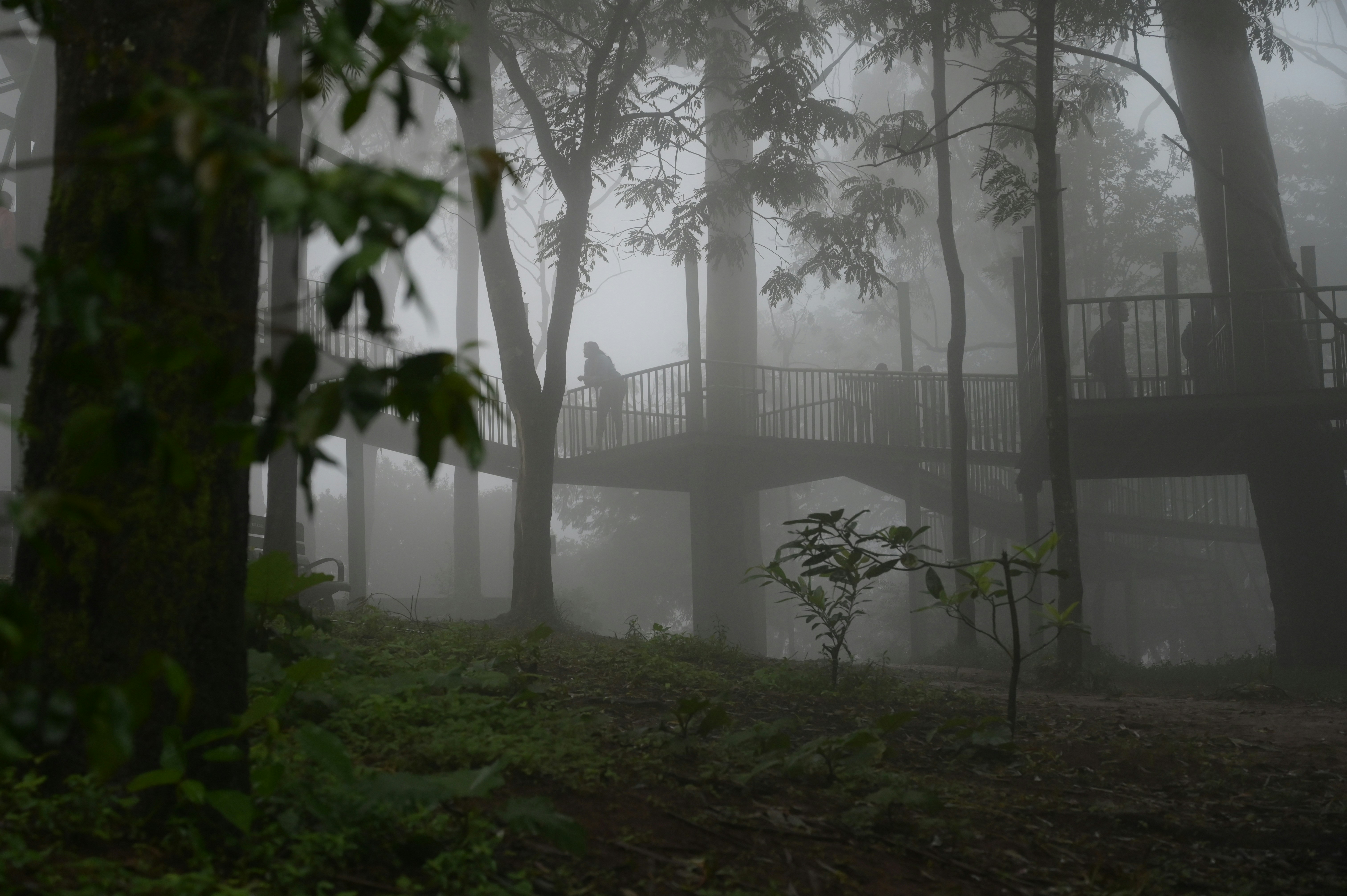 Photo by sanukumar1138