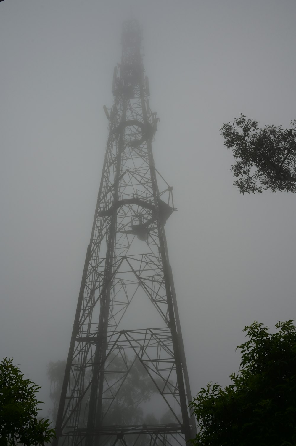 a tall tower in the middle of a foggy forest