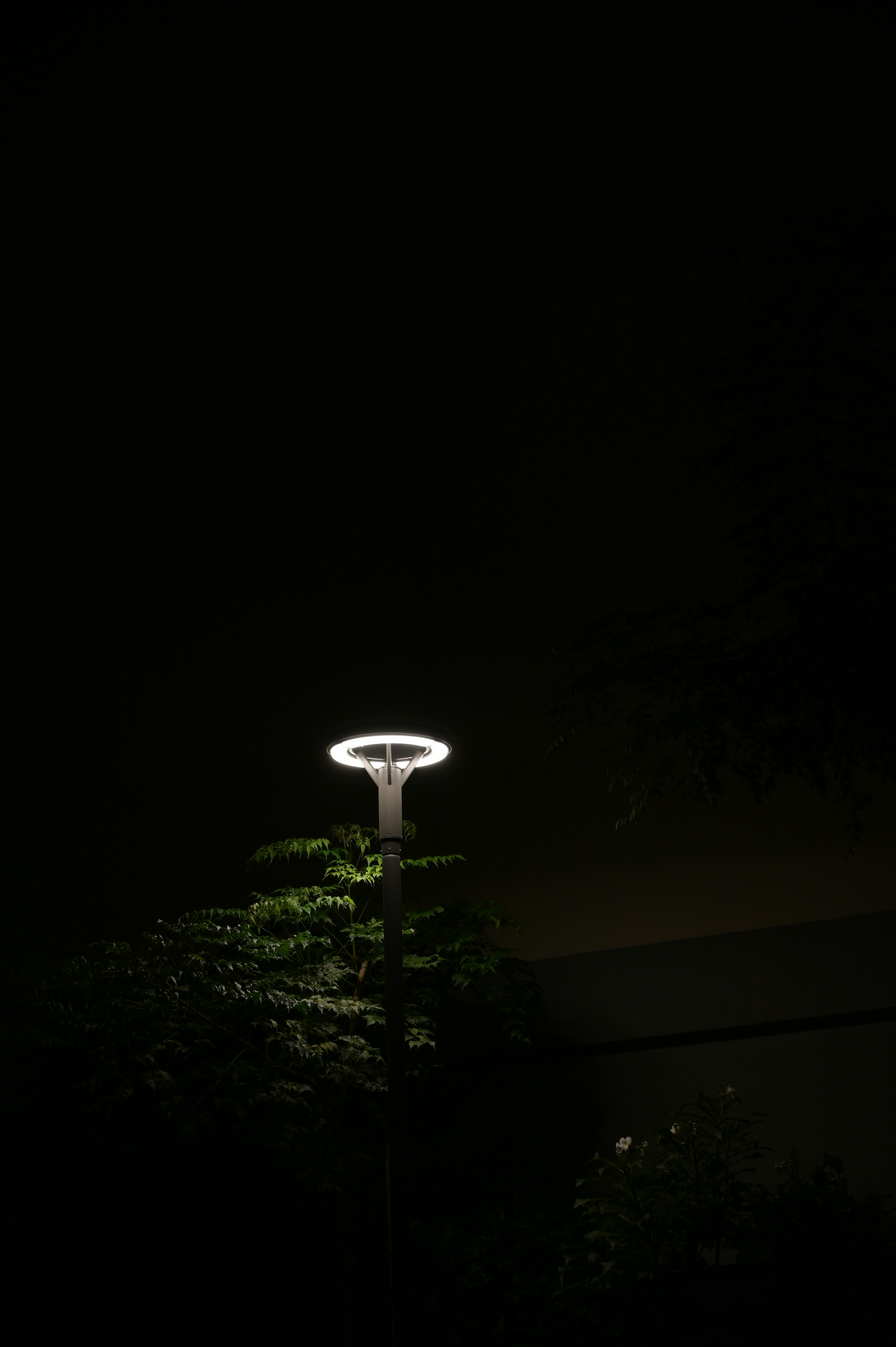 Photo by sanukumar1138