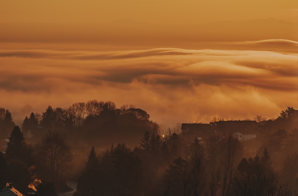 a view of a city covered in a layer of fog