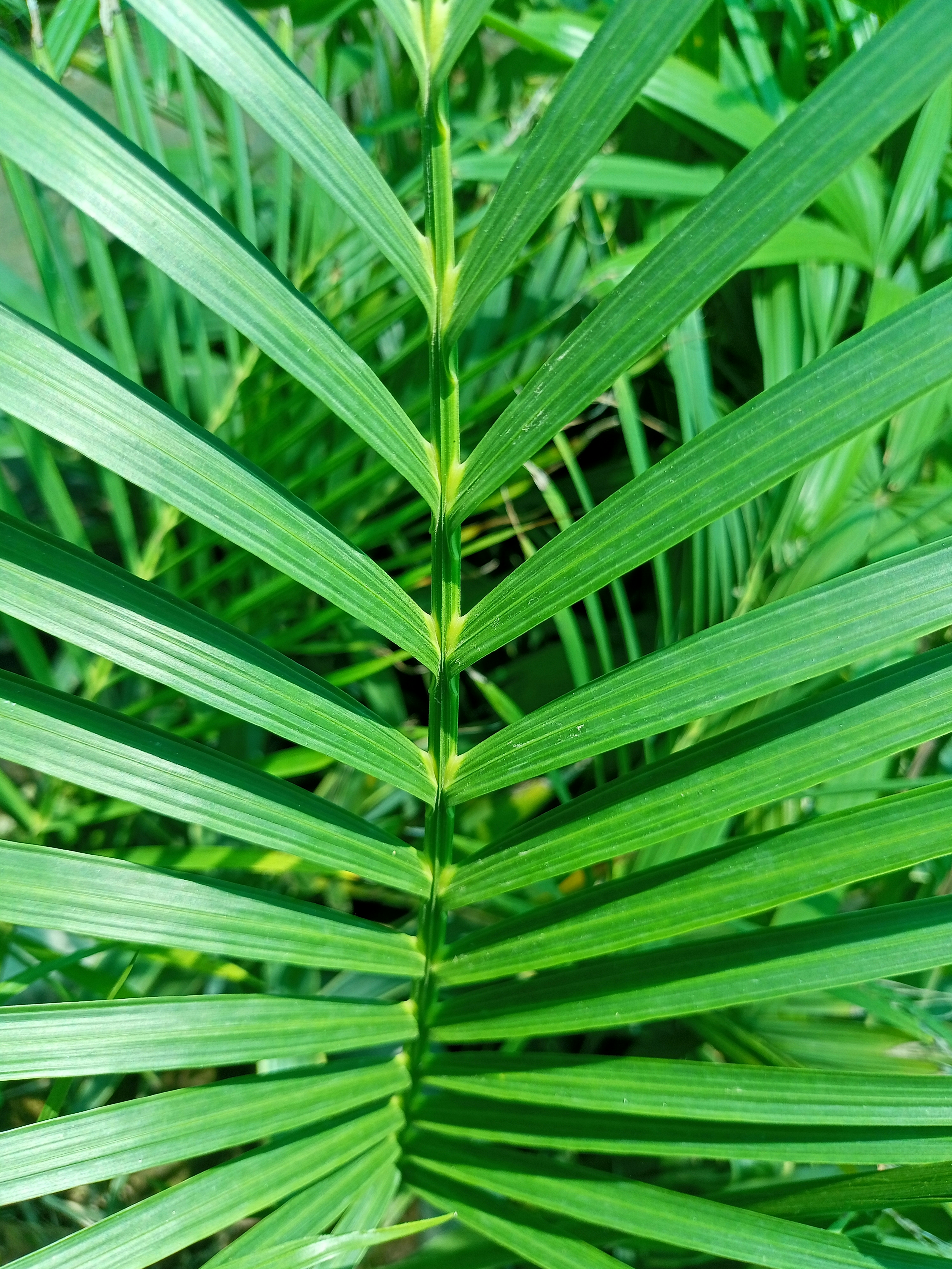 Photo by saqibiqbaldigital