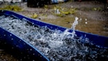 Water splashes dynamically from a blue container, with droplets visibly suspended in the air. The ground is wet and slightly blurred vegetation can be seen in the background.