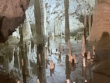 A stunning cave interior featuring numerous stalactites and stalagmites surrounded by a reflective pool. The formations are naturally ornate, creating a sense of ancient beauty and mystery. The cave walls display varied textures and colors, enhanced by subtle lighting that adds depth to the scene.