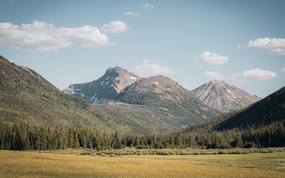 a mountain range with a grassy field in the foreground