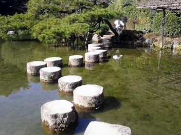 a group of stepping stones sitting in the middle of a pond