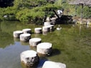 a group of stepping stones sitting in the middle of a pond