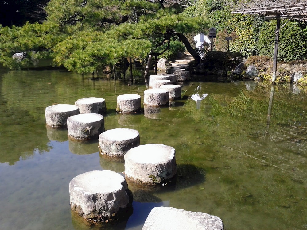 a group of stepping stones sitting in the middle of a pond