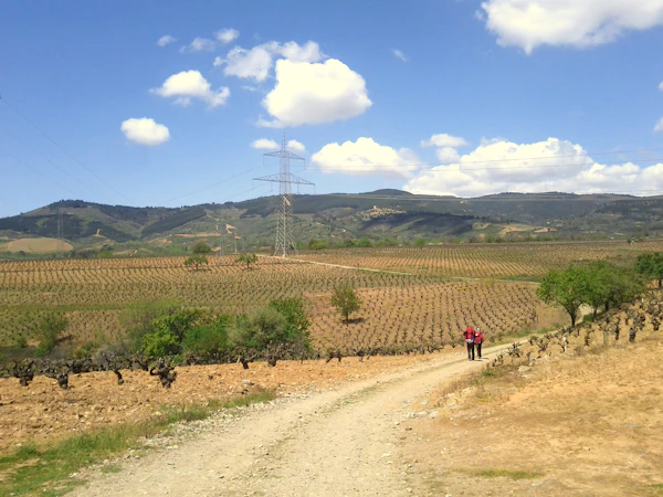 Camino de Santiago