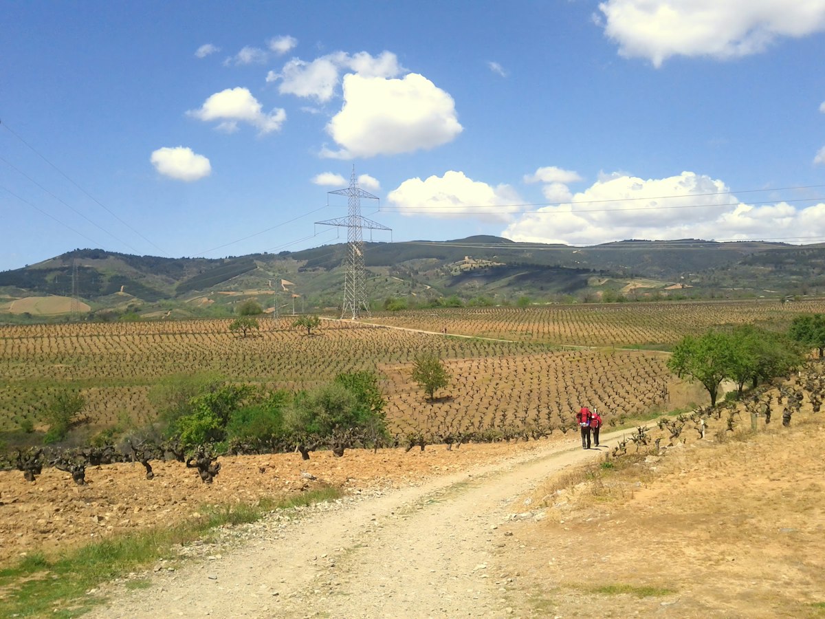 Peregrina caminando a ritmo tranquilo por una pista amplia del Camino de Santiago