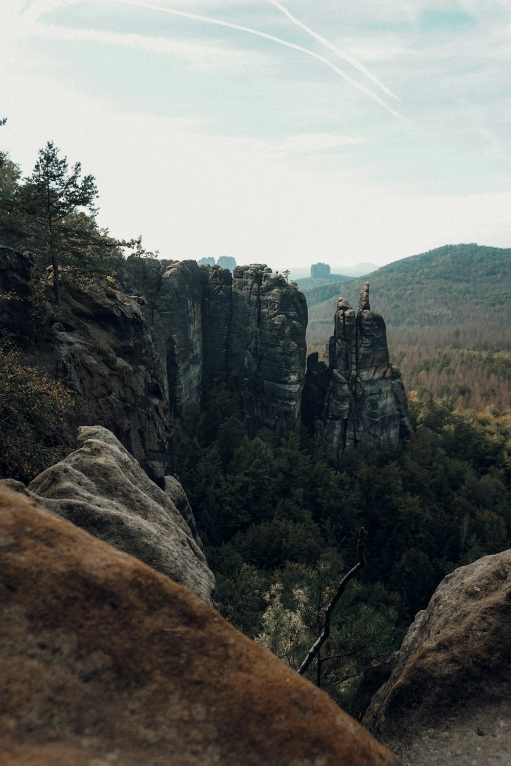 a man standing on top of a cliff next to a forest