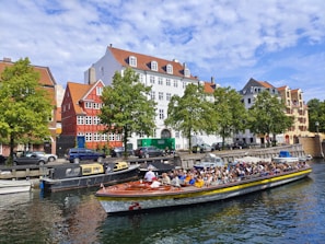 A group of tourists enjoying a guided walking tour through Amsterdam's canals.