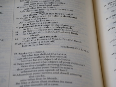 Close-up of a screen showing organized English text on a website.