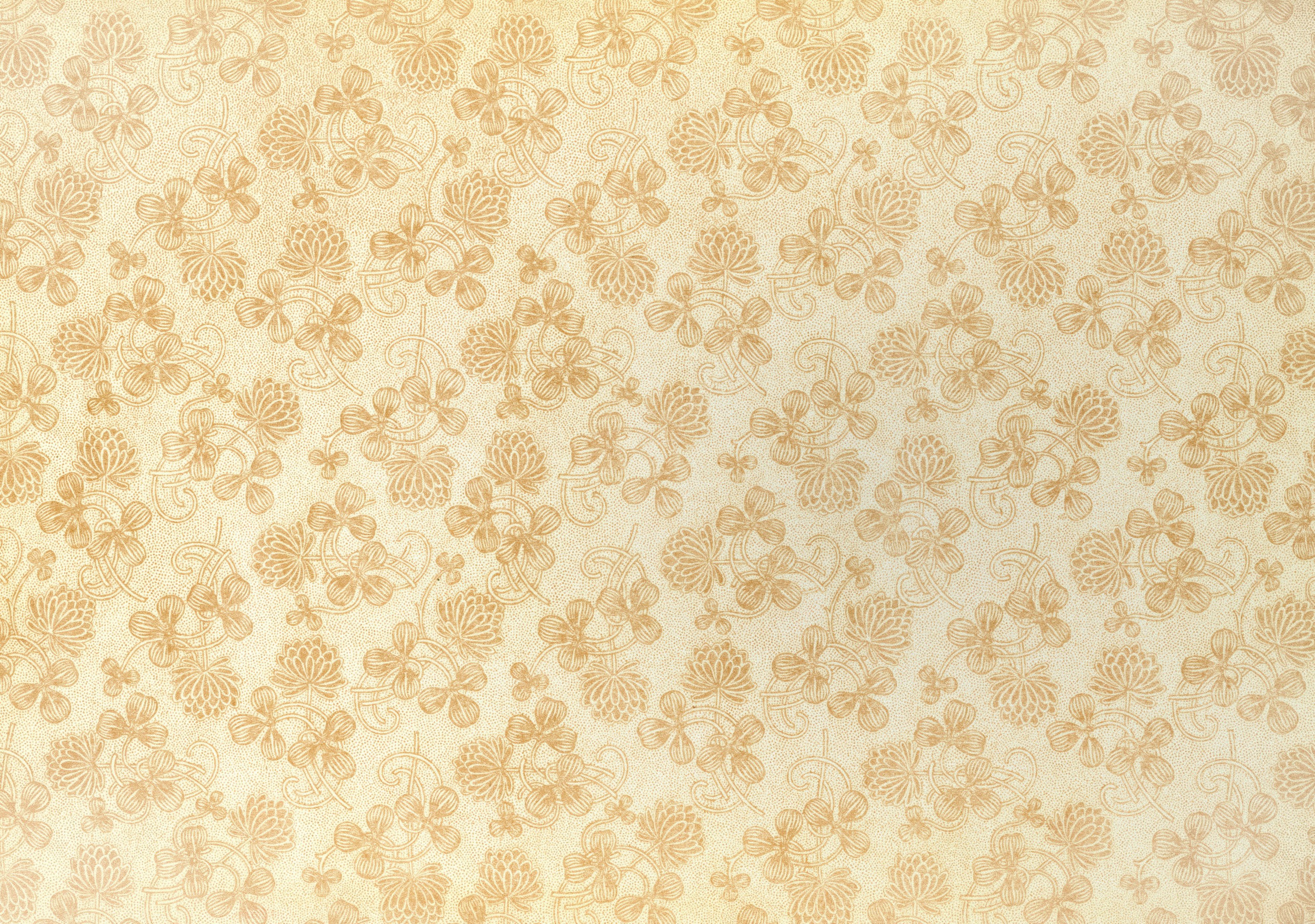 누런 옷 하얗게 하는 법