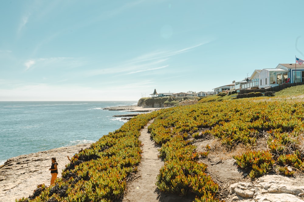 a path leading to a beach with houses on the shore