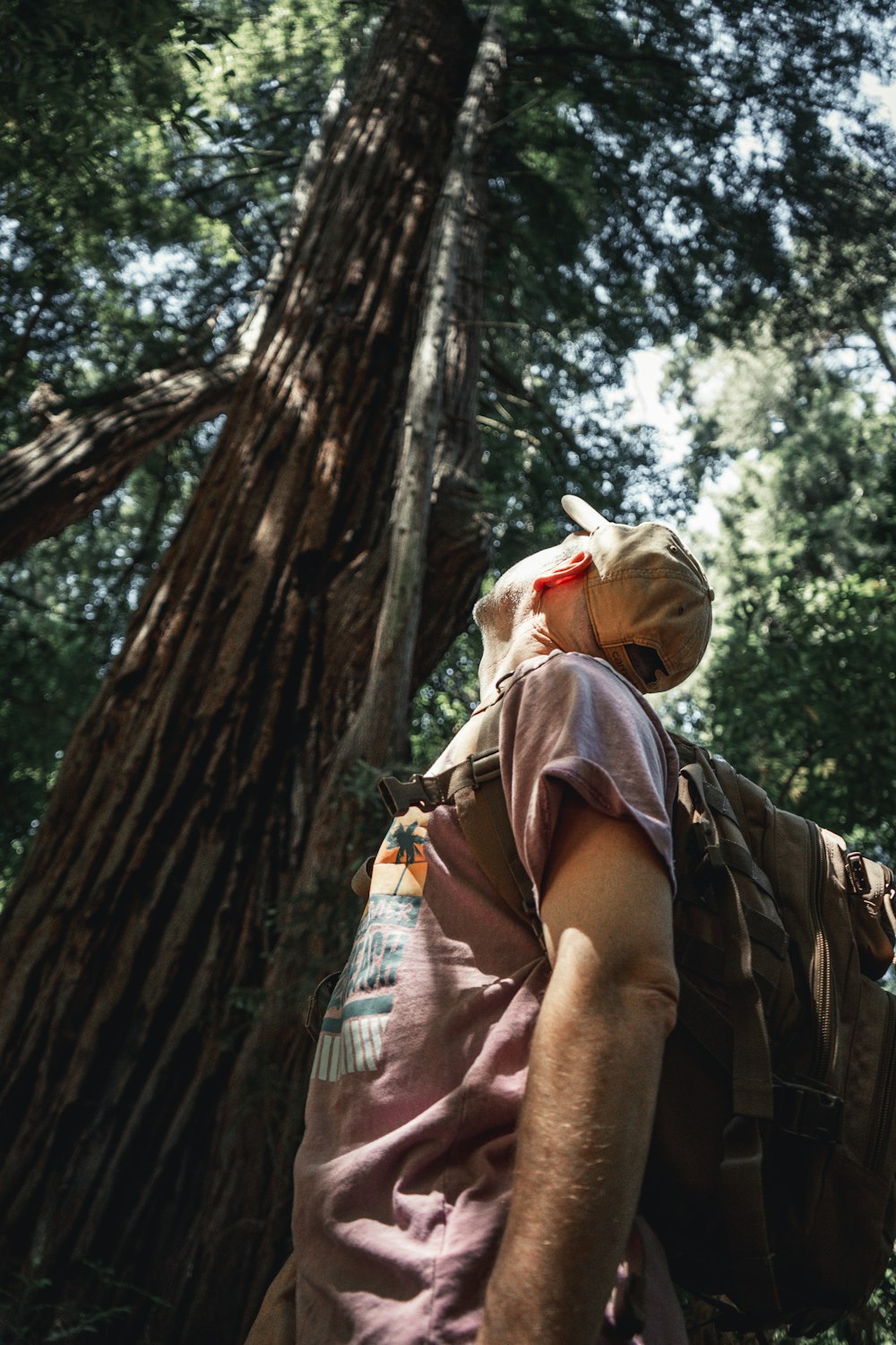 a man with a backpack walking through a forest