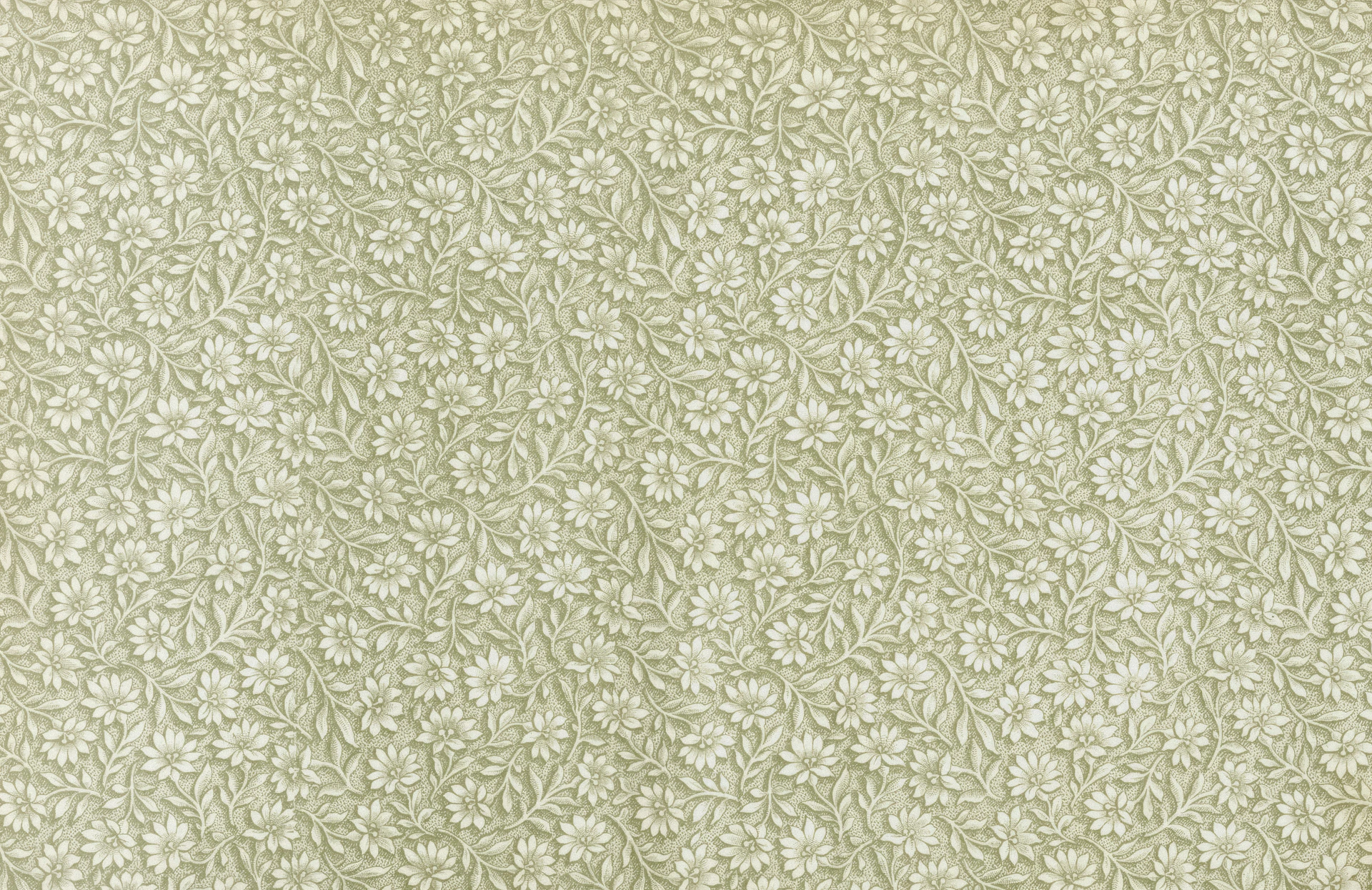 a white background with a pattern of leaves