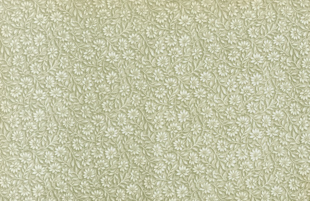 Wildflower Study
