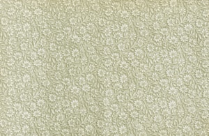 Wildflower Study