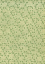A serene mint green background with a hand-drawn sienna leaf pattern symbolizing natural connection.